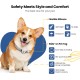 PawView Smart Pet ID Tag with QR Code & NFC - Waterproof Silicone Bow Tie Dog Tag for Lost Pet Recovery - Customizable, No GPS Required, Free App (Black) PawView Smart Pet ID Tag with QR Code & NFC - Waterproof Silicone Bow Tie Dog Tag for Lost Pet Recovery - Customizable, No GPS Required, Free App (Black)