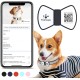 PawView Smart Pet ID Tag with QR Code & NFC - Waterproof Silicone Bow Tie Dog Tag for Lost Pet Recovery - Customizable, No GPS Required, Free App (Black) PawView Smart Pet ID Tag with QR Code & NFC - Waterproof Silicone Bow Tie Dog Tag for Lost Pet Recovery - Customizable, No GPS Required, Free App (Black)