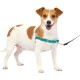 PetSafe, Easy Walk Dog Harness, The Ultimate No Pull Harness for Walks, Take Control and Teach Better Leash Behavior Small, Petrol/Grey