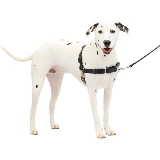 PetSafe, Easy Walk Dog Harness, The Ultimate No Pull Harness for Walks, Take Control and Teach Better Leash Behavior Small, Petrol/Grey PetSafe, Easy Walk Dog Harness, The Ultimate No Pull Harness for Walks, Take Control and Teach Better Leash Behavior Small, Petrol/Grey