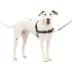 PetSafe, Easy Walk Dog Harness, The Ultimate No Pull Harness for Walks, Take Control and Teach Better Leash Behavior Small, Petrol/Grey