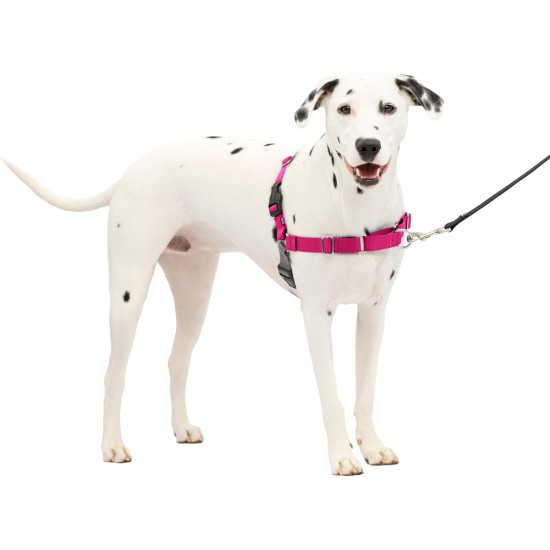 PetSafe, Easy Walk Dog Harness, The Ultimate No Pull Harness for Walks, Take Control and Teach Better Leash Behavior Small, Petrol/Grey PetSafe, Easy Walk Dog Harness, The Ultimate No Pull Harness for Walks, Take Control and Teach Better Leash Behavior Small, Petrol/Grey