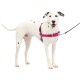 PetSafe, Easy Walk Dog Harness, The Ultimate No Pull Harness for Walks, Take Control and Teach Better Leash Behavior Small, Petrol/Grey