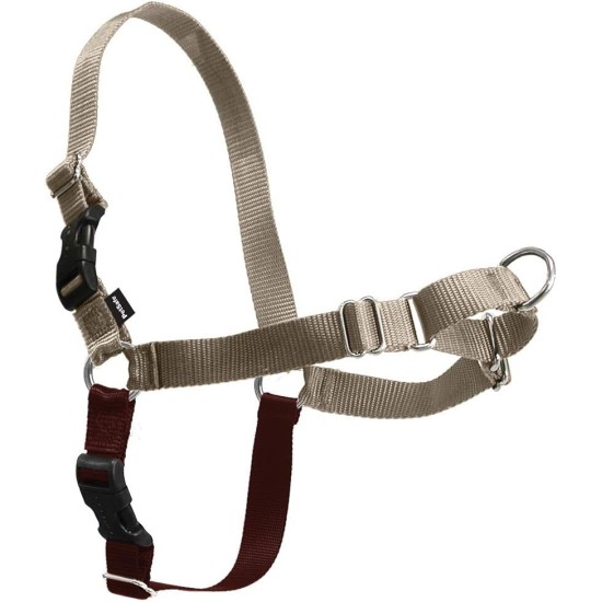 PetSafe, Easy Walk Dog Harness, The Ultimate No Pull Harness for Walks, Take Control and Teach Better Leash Behavior Small, Petrol/Grey PetSafe, Easy Walk Dog Harness, The Ultimate No Pull Harness for Walks, Take Control and Teach Better Leash Behavior Small, Petrol/Grey