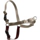 PetSafe, Easy Walk Dog Harness, The Ultimate No Pull Harness for Walks, Take Control and Teach Better Leash Behavior Small, Petrol/Grey
