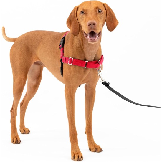 PetSafe, Easy Walk Dog Harness, The Ultimate No Pull Harness for Walks, Take Control and Teach Better Leash Behavior Small, Petrol/Grey PetSafe, Easy Walk Dog Harness, The Ultimate No Pull Harness for Walks, Take Control and Teach Better Leash Behavior Small, Petrol/Grey
