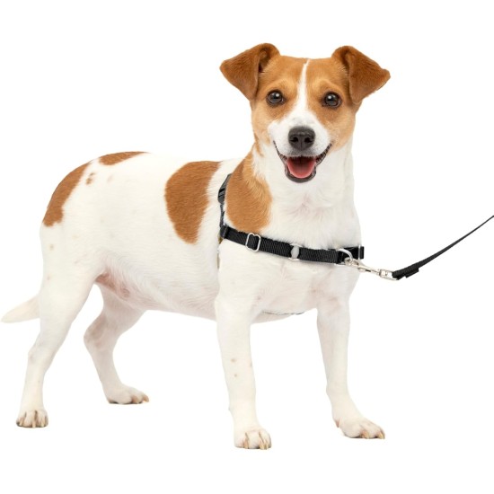 PetSafe, Easy Walk Dog Harness, The Ultimate No Pull Harness for Walks, Take Control and Teach Better Leash Behavior Small, Petrol/Grey PetSafe, Easy Walk Dog Harness, The Ultimate No Pull Harness for Walks, Take Control and Teach Better Leash Behavior Small, Petrol/Grey