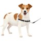 PetSafe, Easy Walk Dog Harness, The Ultimate No Pull Harness for Walks, Take Control and Teach Better Leash Behavior Small, Petrol/Grey