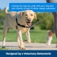 PetSafe, Easy Walk Dog Harness, The Ultimate No Pull Harness for Walks, Take Control and Teach Better Leash Behavior Small, Petrol/Grey