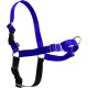 PetSafe, Easy Walk Dog Harness, The Ultimate No Pull Harness for Walks, Take Control and Teach Better Leash Behavior Small, Petrol/Grey