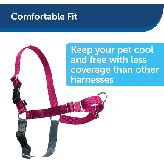 PetSafe, Easy Walk Dog Harness, The Ultimate No Pull Harness for Walks, Take Control and Teach Better Leash Behavior Small, Petrol/Grey PetSafe, Easy Walk Dog Harness, The Ultimate No Pull Harness for Walks, Take Control and Teach Better Leash Behavior Small, Petrol/Grey