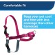 PetSafe, Easy Walk Dog Harness, The Ultimate No Pull Harness for Walks, Take Control and Teach Better Leash Behavior Small, Petrol/Grey