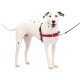 PetSafe, Easy Walk Dog Harness, The Ultimate No Pull Harness for Walks, Take Control and Teach Better Leash Behavior Small, Petrol/Grey