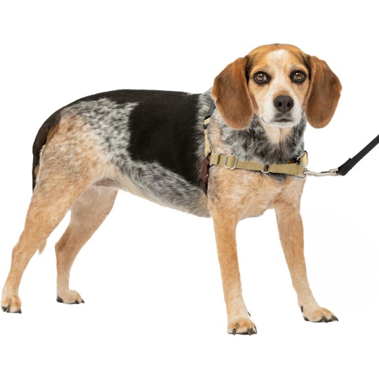 PetSafe, Easy Walk Dog Harness, The Ultimate No Pull Harness for Walks, Take Control and Teach Better Leash Behavior Small, Petrol/Grey PetSafe, Easy Walk Dog Harness, The Ultimate No Pull Harness for Walks, Take Control and Teach Better Leash Behavior Small, Petrol/Grey
