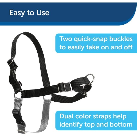 PetSafe, Easy Walk Dog Harness, The Ultimate No Pull Harness for Walks, Take Control and Teach Better Leash Behavior Small, Petrol/Grey PetSafe, Easy Walk Dog Harness, The Ultimate No Pull Harness for Walks, Take Control and Teach Better Leash Behavior Small, Petrol/Grey