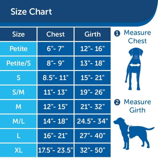 PetSafe, Easy Walk Dog Harness, The Ultimate No Pull Harness for Walks, Take Control and Teach Better Leash Behavior Small, Petrol/Grey PetSafe, Easy Walk Dog Harness, The Ultimate No Pull Harness for Walks, Take Control and Teach Better Leash Behavior Small, Petrol/Grey