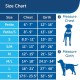 PetSafe, Easy Walk Dog Harness, The Ultimate No Pull Harness for Walks, Take Control and Teach Better Leash Behavior Small, Petrol/Grey