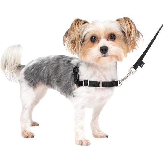 PetSafe, Easy Walk Dog Harness, The Ultimate No Pull Harness for Walks, Take Control and Teach Better Leash Behavior Small, Petrol/Grey PetSafe, Easy Walk Dog Harness, The Ultimate No Pull Harness for Walks, Take Control and Teach Better Leash Behavior Small, Petrol/Grey
