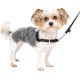 PetSafe, Easy Walk Dog Harness, The Ultimate No Pull Harness for Walks, Take Control and Teach Better Leash Behavior Small, Petrol/Grey