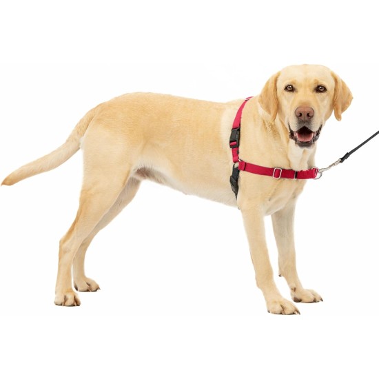 PetSafe, Easy Walk Dog Harness, The Ultimate No Pull Harness for Walks, Take Control and Teach Better Leash Behavior Small, Petrol/Grey PetSafe, Easy Walk Dog Harness, The Ultimate No Pull Harness for Walks, Take Control and Teach Better Leash Behavior Small, Petrol/Grey