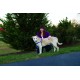 PetSafe, Easy Walk Dog Harness, The Ultimate No Pull Harness for Walks, Take Control and Teach Better Leash Behavior Small, Petrol/Grey