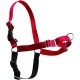 PetSafe, Easy Walk Dog Harness, The Ultimate No Pull Harness for Walks, Take Control and Teach Better Leash Behavior Small, Petrol/Grey