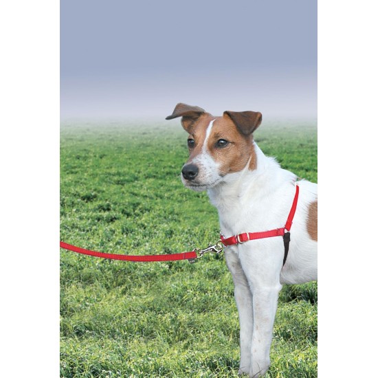 PetSafe, Easy Walk Dog Harness, The Ultimate No Pull Harness for Walks, Take Control and Teach Better Leash Behavior Small, Petrol/Grey PetSafe, Easy Walk Dog Harness, The Ultimate No Pull Harness for Walks, Take Control and Teach Better Leash Behavior Small, Petrol/Grey
