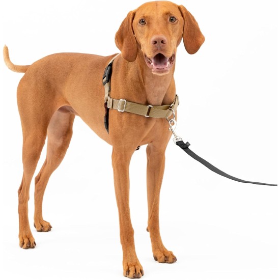 PetSafe, Easy Walk Dog Harness, The Ultimate No Pull Harness for Walks, Take Control and Teach Better Leash Behavior Small, Petrol/Grey PetSafe, Easy Walk Dog Harness, The Ultimate No Pull Harness for Walks, Take Control and Teach Better Leash Behavior Small, Petrol/Grey