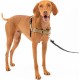 PetSafe, Easy Walk Dog Harness, The Ultimate No Pull Harness for Walks, Take Control and Teach Better Leash Behavior Small, Petrol/Grey