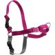 PetSafe, Easy Walk Dog Harness, The Ultimate No Pull Harness for Walks, Take Control and Teach Better Leash Behavior Small, Petrol/Grey