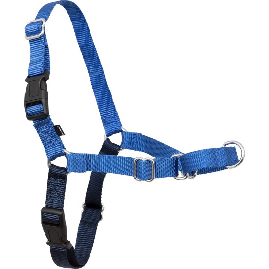 PetSafe, Easy Walk Dog Harness, The Ultimate No Pull Harness for Walks, Take Control and Teach Better Leash Behavior Small, Petrol/Grey PetSafe, Easy Walk Dog Harness, The Ultimate No Pull Harness for Walks, Take Control and Teach Better Leash Behavior Small, Petrol/Grey