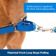 PetSafe, Easy Walk Dog Harness, The Ultimate No Pull Harness for Walks, Take Control and Teach Better Leash Behavior Small, Petrol/Grey PetSafe, Easy Walk Dog Harness, The Ultimate No Pull Harness for Walks, Take Control and Teach Better Leash Behavior Small, Petrol/Grey