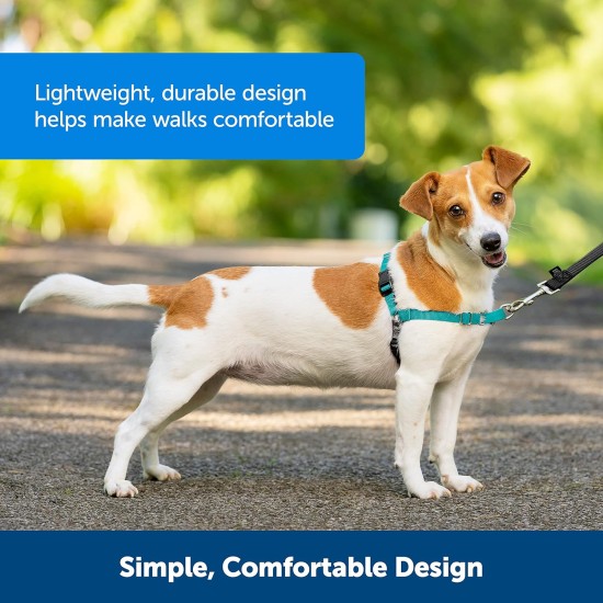 PetSafe, Easy Walk Dog Harness, The Ultimate No Pull Harness for Walks, Take Control and Teach Better Leash Behavior Small, Petrol/Grey PetSafe, Easy Walk Dog Harness, The Ultimate No Pull Harness for Walks, Take Control and Teach Better Leash Behavior Small, Petrol/Grey