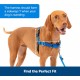 PetSafe, Easy Walk Dog Harness, The Ultimate No Pull Harness for Walks, Take Control and Teach Better Leash Behavior Small, Petrol/Grey PetSafe, Easy Walk Dog Harness, The Ultimate No Pull Harness for Walks, Take Control and Teach Better Leash Behavior Small, Petrol/Grey