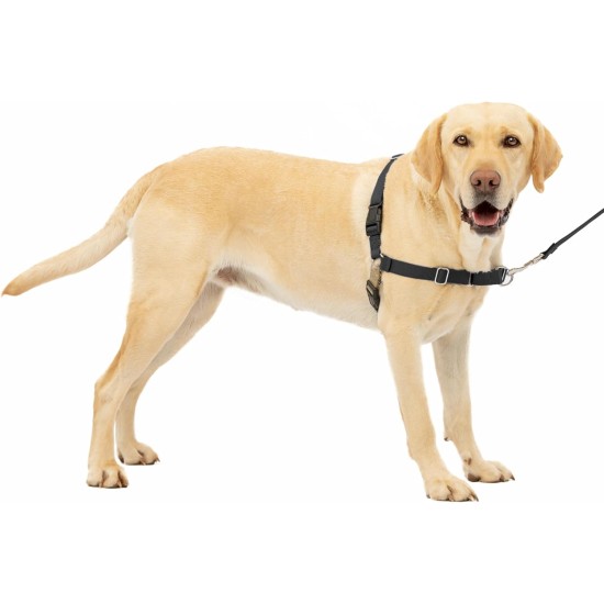 PetSafe, Easy Walk Dog Harness, The Ultimate No Pull Harness for Walks, Take Control and Teach Better Leash Behavior Small, Petrol/Grey PetSafe, Easy Walk Dog Harness, The Ultimate No Pull Harness for Walks, Take Control and Teach Better Leash Behavior Small, Petrol/Grey