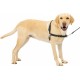 PetSafe, Easy Walk Dog Harness, The Ultimate No Pull Harness for Walks, Take Control and Teach Better Leash Behavior Small, Petrol/Grey