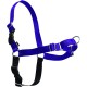 PetSafe, Easy Walk Dog Harness, The Ultimate No Pull Harness for Walks, Take Control and Teach Better Leash Behavior Small, Petrol/Grey