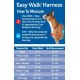 PetSafe, Easy Walk Dog Harness, The Ultimate No Pull Harness for Walks, Take Control and Teach Better Leash Behavior Small, Petrol/Grey