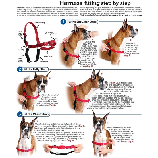 PetSafe, Easy Walk Dog Harness, The Ultimate No Pull Harness for Walks, Take Control and Teach Better Leash Behavior Small, Petrol/Grey PetSafe, Easy Walk Dog Harness, The Ultimate No Pull Harness for Walks, Take Control and Teach Better Leash Behavior Small, Petrol/Grey