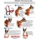 PetSafe, Easy Walk Dog Harness, The Ultimate No Pull Harness for Walks, Take Control and Teach Better Leash Behavior Small, Petrol/Grey