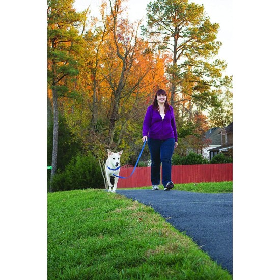 PetSafe, Easy Walk Dog Harness, The Ultimate No Pull Harness for Walks, Take Control and Teach Better Leash Behavior Small, Petrol/Grey PetSafe, Easy Walk Dog Harness, The Ultimate No Pull Harness for Walks, Take Control and Teach Better Leash Behavior Small, Petrol/Grey