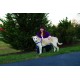 PetSafe, Easy Walk Dog Harness, The Ultimate No Pull Harness for Walks, Take Control and Teach Better Leash Behavior Small, Petrol/Grey