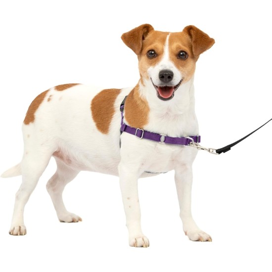 PetSafe, Easy Walk Dog Harness, The Ultimate No Pull Harness for Walks, Take Control and Teach Better Leash Behavior Small, Petrol/Grey PetSafe, Easy Walk Dog Harness, The Ultimate No Pull Harness for Walks, Take Control and Teach Better Leash Behavior Small, Petrol/Grey