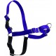 PetSafe, Easy Walk Dog Harness, The Ultimate No Pull Harness for Walks, Take Control and Teach Better Leash Behavior Small, Petrol/Grey PetSafe, Easy Walk Dog Harness, The Ultimate No Pull Harness for Walks, Take Control and Teach Better Leash Behavior Small, Petrol/Grey