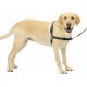 PetSafe, Easy Walk Dog Harness, The Ultimate No Pull Harness for Walks, Take Control and Teach Better Leash Behavior Small, Petrol/Grey