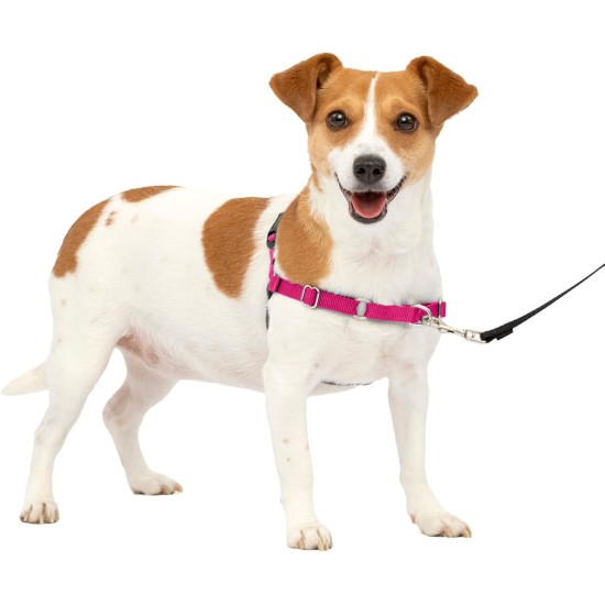 PetSafe, Easy Walk Dog Harness, The Ultimate No Pull Harness for Walks, Take Control and Teach Better Leash Behavior Small, Petrol/Grey PetSafe, Easy Walk Dog Harness, The Ultimate No Pull Harness for Walks, Take Control and Teach Better Leash Behavior Small, Petrol/Grey