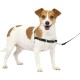 PetSafe, Easy Walk Dog Harness, The Ultimate No Pull Harness for Walks, Take Control and Teach Better Leash Behavior Small, Petrol/Grey