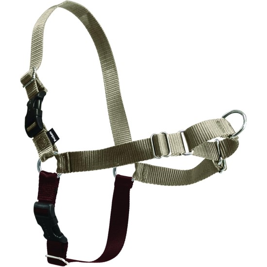 PetSafe, Easy Walk Dog Harness, The Ultimate No Pull Harness for Walks, Take Control and Teach Better Leash Behavior Small, Petrol/Grey PetSafe, Easy Walk Dog Harness, The Ultimate No Pull Harness for Walks, Take Control and Teach Better Leash Behavior Small, Petrol/Grey