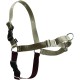 PetSafe, Easy Walk Dog Harness, The Ultimate No Pull Harness for Walks, Take Control and Teach Better Leash Behavior Small, Petrol/Grey