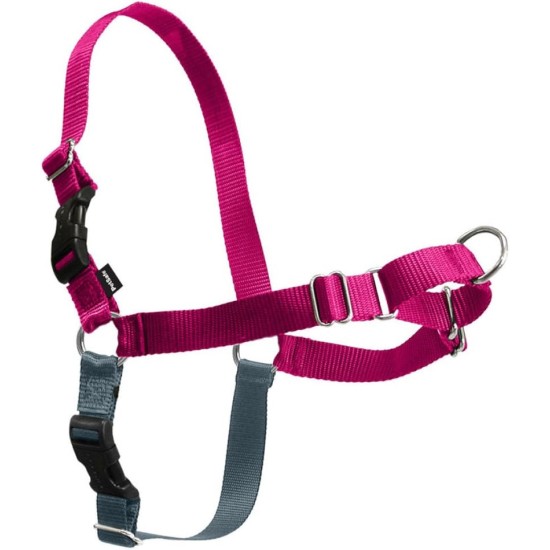 PetSafe, Easy Walk Dog Harness, The Ultimate No Pull Harness for Walks, Take Control and Teach Better Leash Behavior Small, Petrol/Grey PetSafe, Easy Walk Dog Harness, The Ultimate No Pull Harness for Walks, Take Control and Teach Better Leash Behavior Small, Petrol/Grey